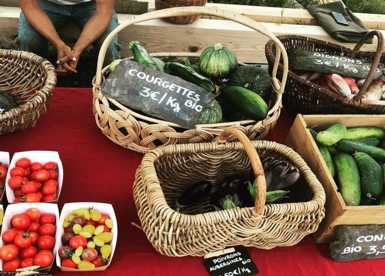 LA PETITE FERME PERMACULTURELLE DE L’ALARIC