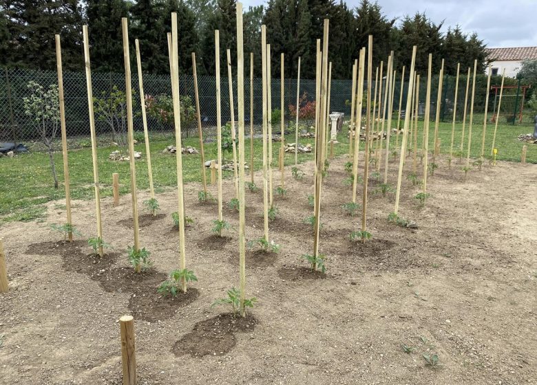 LE POTAGER DE NATOU