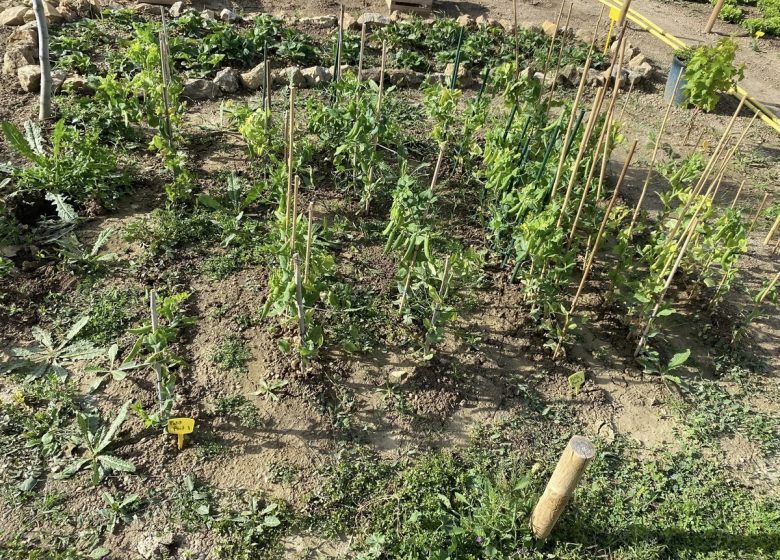 LE POTAGER DE NATOU