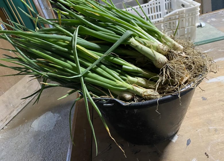 LE POTAGER DE NATOU