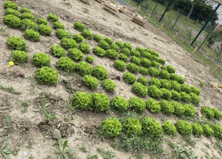 LE POTAGER DE NATOU