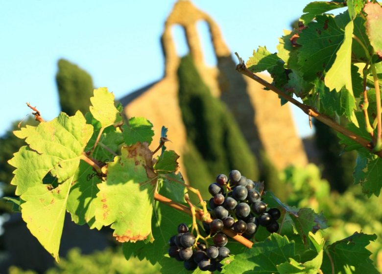 CHÂTEAU LA VOULTE GASPARETS